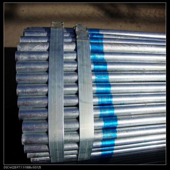 galvanized steel pipe fence