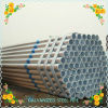 China export 1.4mm W.T gi Pipe