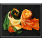 hot selling silk scarves (WJ-016)