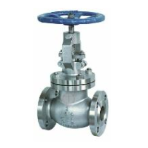 Global valve
