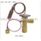 INTL-EW020 expansion valve
