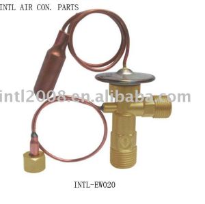 INTL-EW020 expansion valve