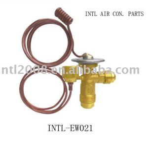 INTL-EW021 expansion valve