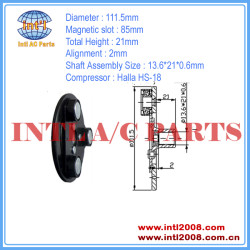 111.5mm ac clutch hub 13.6*21*0.6mm Halla HS-18/HS18 Auto a/c compressor clutch hub air conditioning compressor China supplier