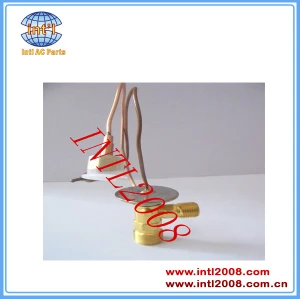 R134a Expansion valve A/C expansion valve AAA quality expansion valve