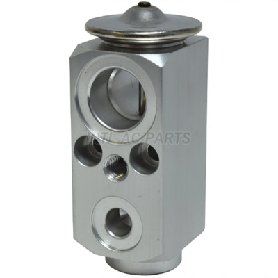 Auto Ac Expansion valve for FREIGHTLINER ANY BOAA4956 4613L0101