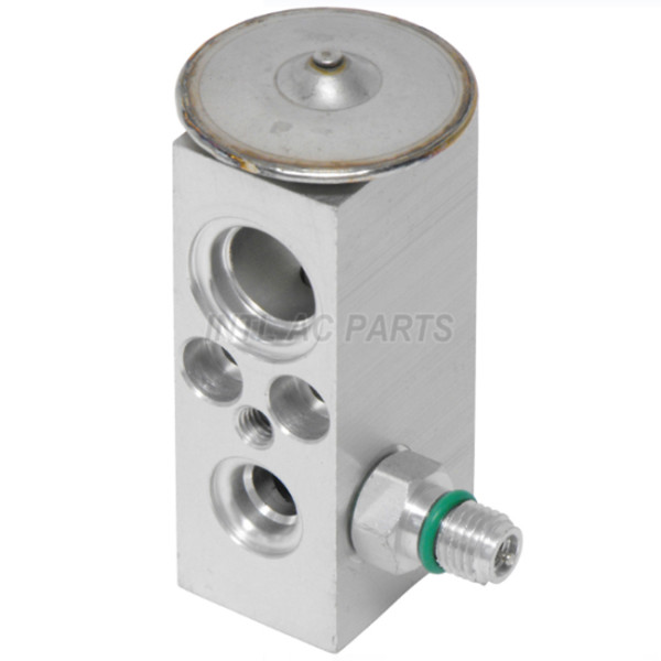 Auto Ac Expansion valve for International 2554 1995-2002 1696846C1 2503783C91 308021