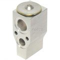 Auto Ac Expansion valve for Buick Terraza 2005-2007 1550299 15871954 3131099