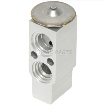 Auto Ac Expansion valve for Kia Borrego 2009-2011 979002J000