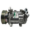 Sanden SD7V16 Ac Compressor Dacia Renault Clio/Megane/Scenic/Kangoo/Logan
