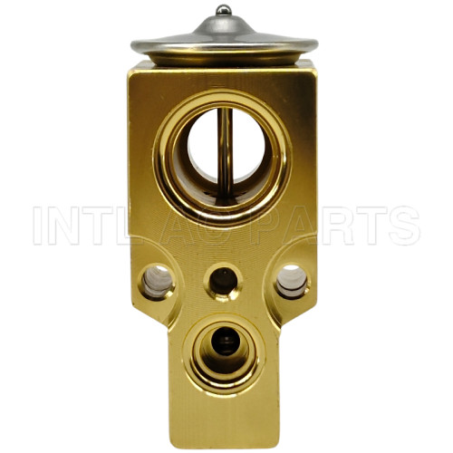 Air conditioning a/c block Expansion Valve for AUDI VW JETTA KING RENAULT 77 01 040 563 1H0 820 679 A