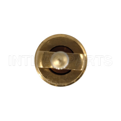 Ac air valve core Ford Fiesta 99/Mondeo/Ranger