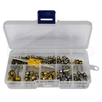 Universal R134A/R12 valve core kit Buick/GM/Volvo/Ford/Renault/Peugeot Bora/Mercedes Benz