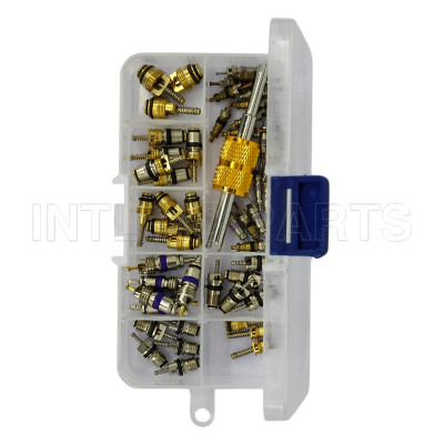 Universal R134A/R12 valve core kit Buick/GM/Volvo/Ford/Renault/Peugeot Bora/Mercedes Benz