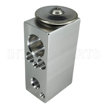 Auto Ac Expansion valve Fiat 500 2012-2018 68093416AA 3131353 3411569