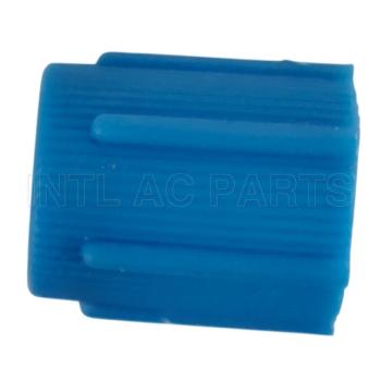 M8*1DR134A CAPLOW SIDEBLUE OR BLACK C10110010 RC.350.147