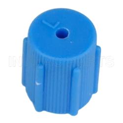 M8*1DR134A CAPLOW SIDEBLUE OR BLACK C10110010 RC.350.147