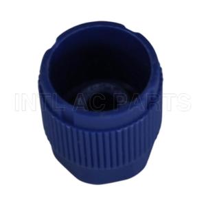 M9*1B R134A CAPLOW SIDEBLUE OR BLACK CP665K10 5811369 GA 4156-10