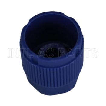 M9*1B R134A CAPLOW SIDEBLUE OR BLACK CP665K10 5811369 GA 4156-10