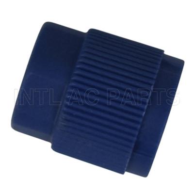 M9*1B R134A CAPLOW SIDEBLUE OR BLACK CP665K10 5811369 GA 4156-10
