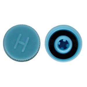 M10*1.25A HIGH SIDE BLUE Plastic Cap RC.350.109