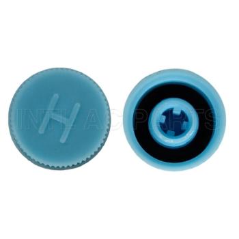 M10*1.25A HIGH SIDE BLUE Plastic Cap RC.350.109