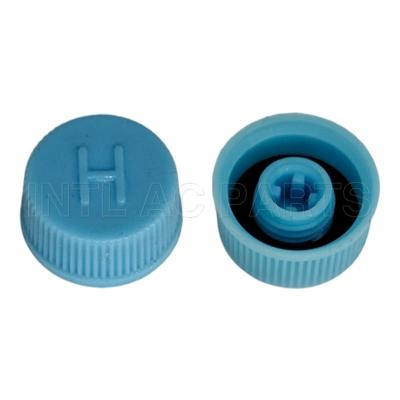 M10*1.25A HIGH SIDE BLUE Plastic Cap RC.350.109