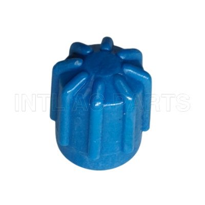 MB*1 R134A CAPLOW LOW SIDEBLUE 409568 5811337 59937 CP661 CP661K10 GA 1661-10C