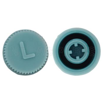 M9*1A LOW CAPLOW SIDEBLUE GA 0800C MT0310 RC.350.108