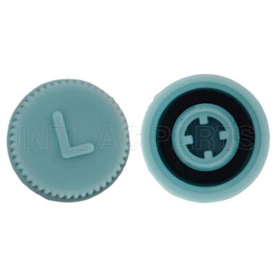 M9*1A LOW CAPLOW SIDEBLUE GA 0800C MT0310 RC.350.108