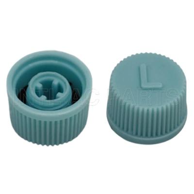 M9*1A LOW CAPLOW SIDEBLUE GA 0800C MT0310 RC.350.108