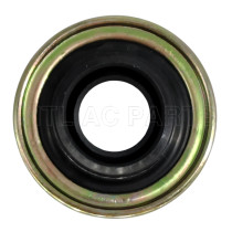 AC Compressor Shaft Seal AUDI GOLDEN DRAGON