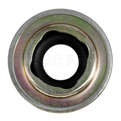 AC Compressor Shaft Seal AUDI GOLDEN DRAGON