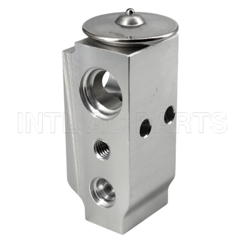 Auto Ac Expansion valve Hyundai Elantra 97626A7000 EX10491C