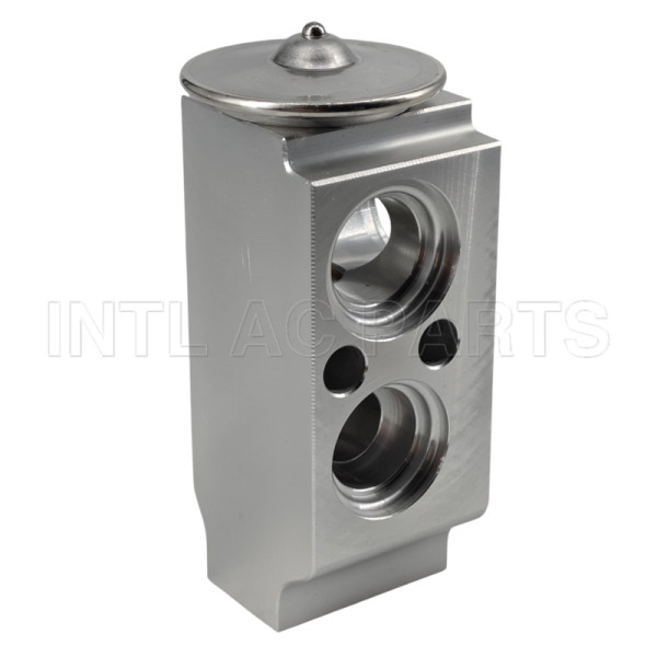 Auto Ac Expansion valve Hyundai Elantra 97626A7000 EX10491C