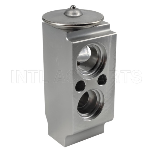 Auto Ac Expansion valve Hyundai Elantra 97626A7000 EX10491C
