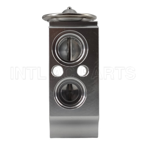 Auto Ac Expansion valve Hyundai Elantra 97626A7000 EX10491C