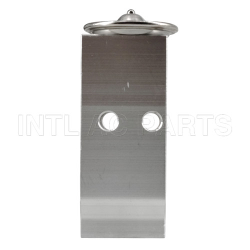 Auto Ac Expansion valve Hyundai Elantra 97626A7000 EX10491C
