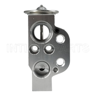 EX 10207C Expansion Valve Audi A3 1K0820679 82D0585070A 840980N 8509801 8881100063