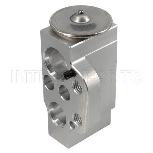 EX 10207C Expansion Valve Audi A3 1K0820679 82D0585070A 840980N 8509801 8881100063