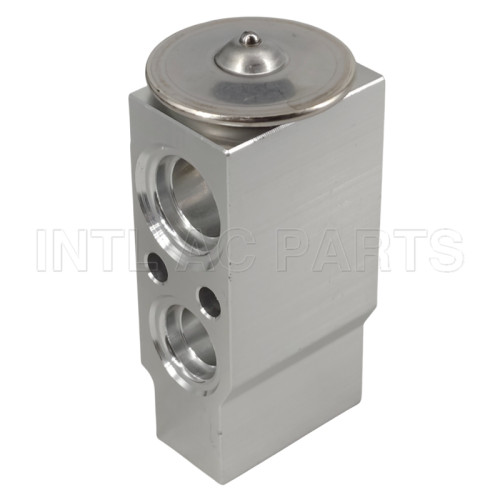 EX 10207C Expansion Valve Audi A3 1K0820679 82D0585070A 840980N 8509801 8881100063