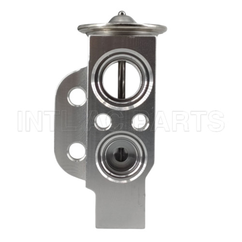 EX 10207C Expansion Valve Audi A3 1K0820679 82D0585070A 840980N 8509801 8881100063