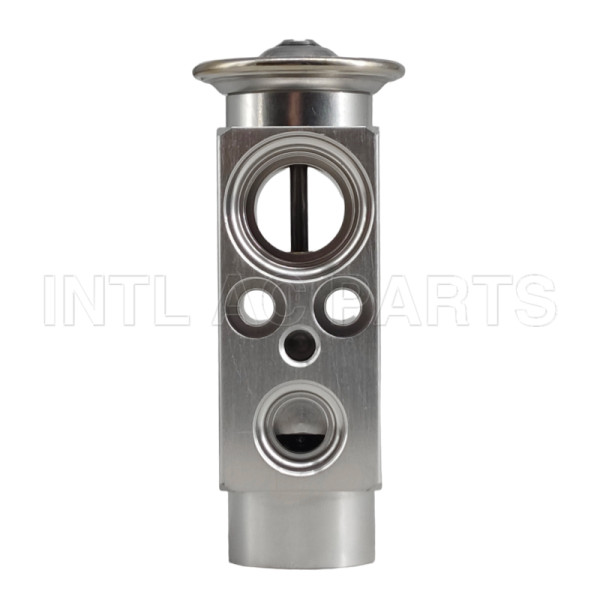 INTL-EH290 A/C Expansion Valve 2009-2010 International 4400 2512331C1
