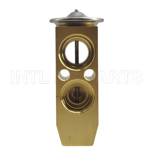 Auto Ac Expansion valve Hyundai Sonata 1999-2005 9762638000 1550901