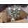 1L RL 68H Cpmpressor Oil Accept Custom Packing