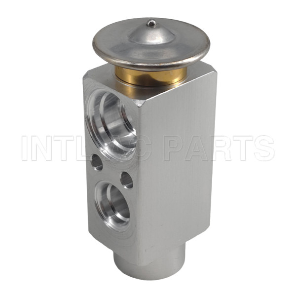 Auto Ac Expansion valve Renault/MAN Track