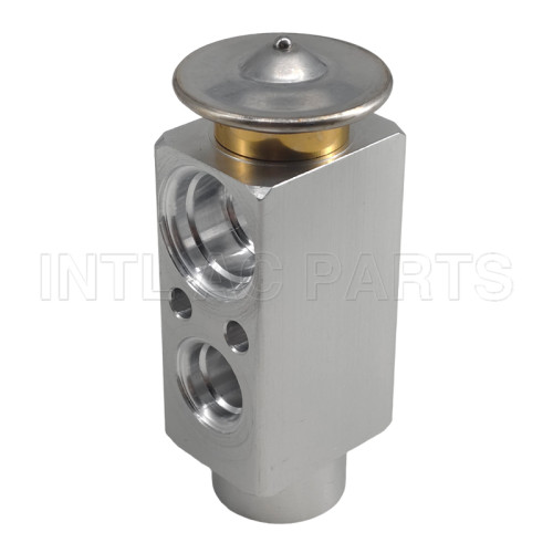 Auto Ac Expansion valve Renault/MAN Track