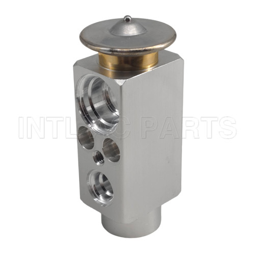 Auto Ac Expansion valve Renault/MAN Track
