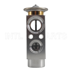 Auto Ac Expansion valve Renault/MAN Track