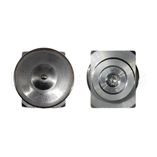 Auto Ac Expansion valve Renault/MAN Track